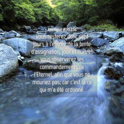 Picture 04 - Lévitique 8:35 LSG - Vous resterez donc sept jours à l'entrée de la - Bible Verse Picture