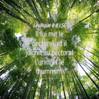 Picture 04 - Lévitique 8:8 LSG - Il lui mit le pectoral, et il joignit au pectoral - Bible Verse Picture
