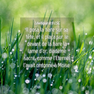 Picture 04 - Lévitique 8:9 LSG - Il posa la tiare sur sa tête, et il plaça sur - Bible Verse Picture