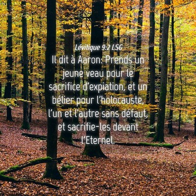 Picture 04 - Lévitique 9:2 LSG - Il dit à Aaron: Prends un jeune veau pour le - Bible Verse Picture