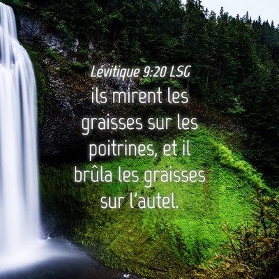 Picture 04 - Lévitique 9:20 LSG - ils mirent les graisses sur les poitrines, et il - Bible Verse Picture