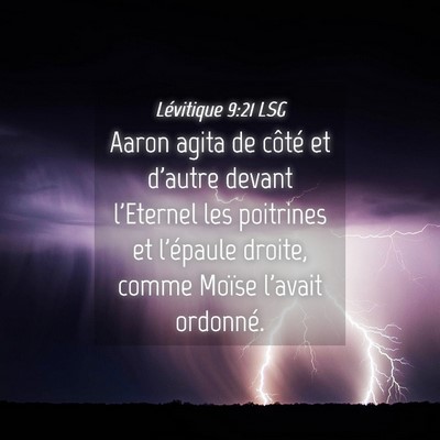Picture 04 - Lévitique 9:21 LSG - Aaron agita de côté et d'autre devant l'Eternel - Bible Verse Picture