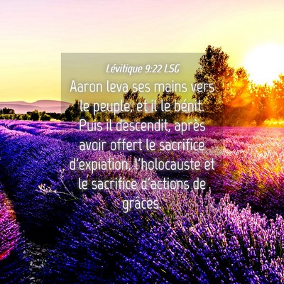 Picture 04 - Lévitique 9:22 LSG - Aaron leva ses mains vers le peuple, et il le - Bible Verse Picture