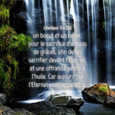 Picture 04 - Lévitique 9:4 LSG - un boeuf et un bélier, pour le sacrifice - Bible Verse Picture