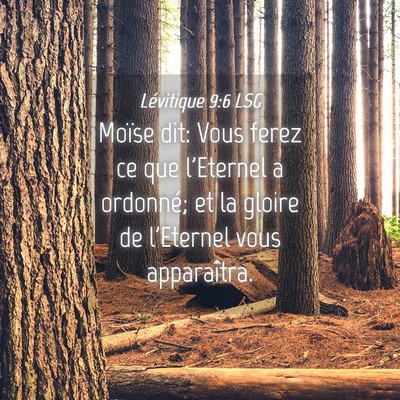 Picture 04 - Lévitique 9:6 LSG - Moïse dit: Vous ferez ce que l'Eternel a - Bible Verse Picture