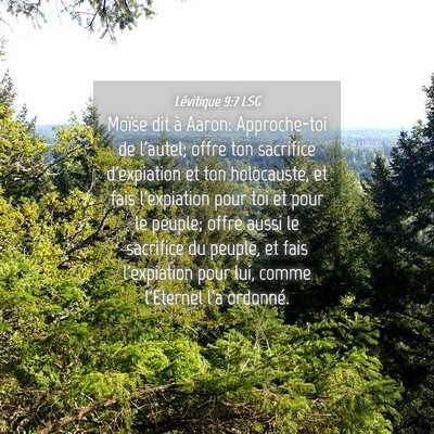Picture 04 - Lévitique 9:7 LSG - Moïse dit à Aaron: Approche-toi de l'autel; - Bible Verse Picture