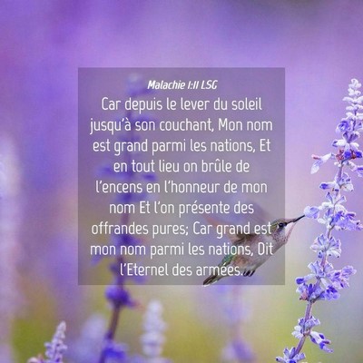 Picture 04 - Malachie 1:11 LSG - Car depuis le lever du soleil jusqu'à son - Bible Verse Picture