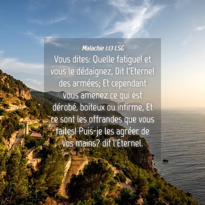 Picture 04 - Malachie 1:13 LSG - Vous dites: Quelle fatigue! et vous le - Bible Verse Picture