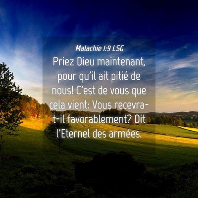 Picture 04 - Malachie 1:9 LSG - Priez Dieu maintenant, pour qu'il ait pitié de - Bible Verse Picture