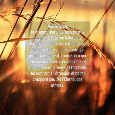 Picture 04 - Malachie 3:5 LSG - Je m'approcherai de vous pour le jugement, Et je - Bible Verse Picture