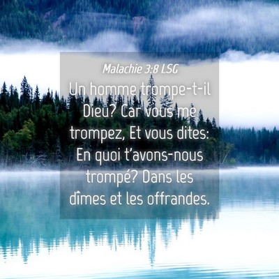 Picture 04 - Malachie 3:8 LSG - Un homme trompe-t-il Dieu? Car vous me trompez, - Bible Verse Picture