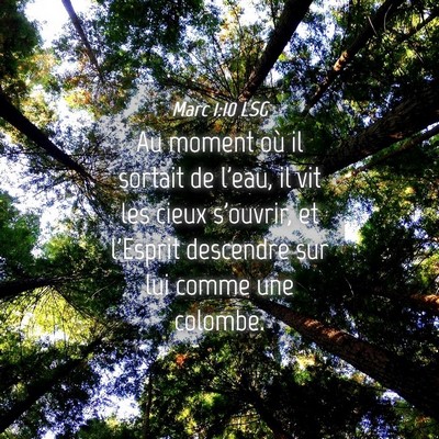 Picture 04 - Marc 1:10 LSG - Au moment où il sortait de l'eau, il vit les - Bible Verse Picture