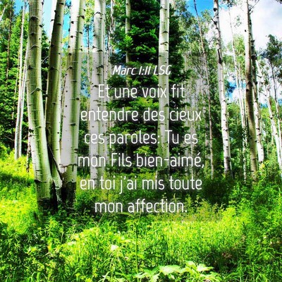 Picture 04 - Marc 1:11 LSG - Et une voix fit entendre des cieux ces paroles: - Bible Verse Picture