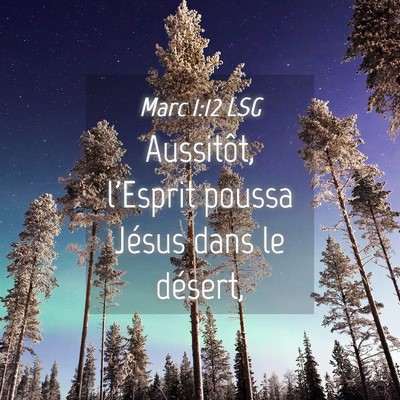 Picture 04 - Marc 1:12 LSG - Aussitôt, l'Esprit poussa Jésus dans le - Bible Verse Picture