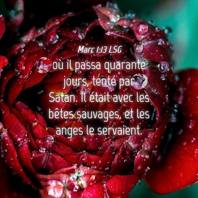 Picture 04 - Marc 1:13 LSG - où il passa quarante jours, tenté par Satan. Il - Bible Verse Picture
