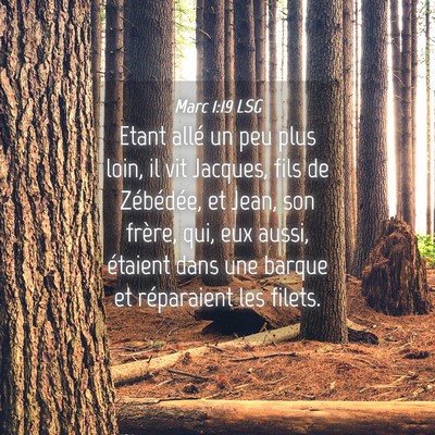 Picture 04 - Marc 1:19 LSG - Etant allé un peu plus loin, il vit Jacques, - Bible Verse Picture