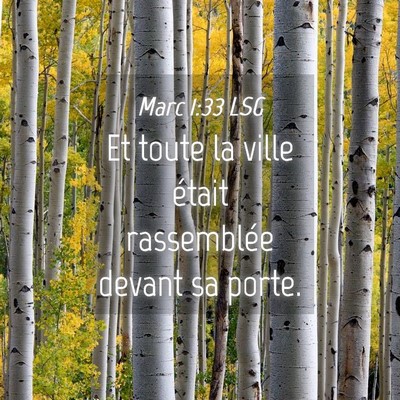 Picture 04 - Marc 1:33 LSG - Et toute la ville était rassemblée devant sa - Bible Verse Picture