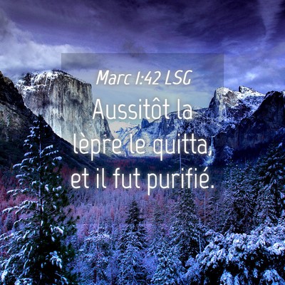 Picture 04 - Marc 1:42 LSG - Aussitôt la lèpre le quitta, et il fut - Bible Verse Picture