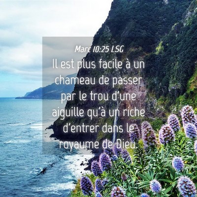 Picture 04 - Marc 10:25 LSG - Il est plus facile à un chameau de passer par le - Bible Verse Picture