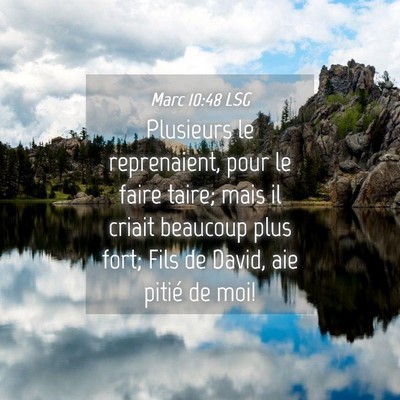 Picture 04 - Marc 10:48 LSG - Plusieurs le reprenaient, pour le faire taire; - Bible Verse Picture