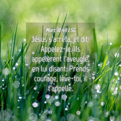 Picture 04 - Marc 10:49 LSG - Jésus s'arrêta, et dit: Appelez-le. Ils - Bible Verse Picture