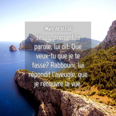 Picture 04 - Marc 10:51 LSG - Jésus, prenant la parole, lui dit: Que veux-tu - Bible Verse Picture