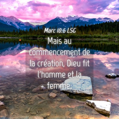 Picture 04 - Marc 10:6 LSG - Mais au commencement de la création, Dieu fit - Bible Verse Picture