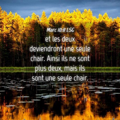 Picture 04 - Marc 10:8 LSG - et les deux deviendront une seule chair. Ainsi - Bible Verse Picture