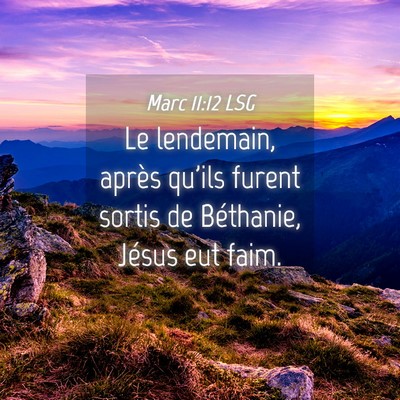 Picture 04 - Marc 11:12 LSG - Le lendemain, après qu'ils furent sortis de - Bible Verse Picture