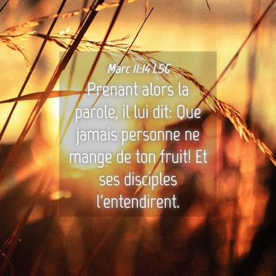 Picture 04 - Marc 11:14 LSG - Prenant alors la parole, il lui dit: Que jamais - Bible Verse Picture