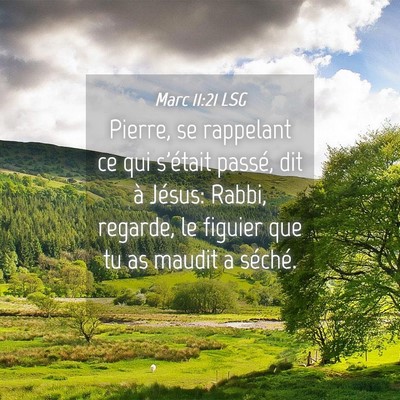 Picture 04 - Marc 11:21 LSG - Pierre, se rappelant ce qui s'était passé, dit - Bible Verse Picture