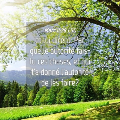 Picture 04 - Marc 11:28 LSG - et lui dirent: Par quelle autorité fais-tu ces - Bible Verse Picture
