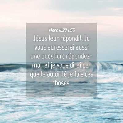 Picture 04 - Marc 11:29 LSG - Jésus leur répondit: Je vous adresserai aussi - Bible Verse Picture