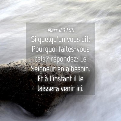 Picture 04 - Marc 11:3 LSG - Si quelqu'un vous dit: Pourquoi faites-vous cela? - Bible Verse Picture