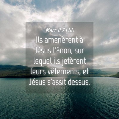 Picture 04 - Marc 11:7 LSG - Ils amenèrent à Jésus l'ânon, sur lequel ils - Bible Verse Picture