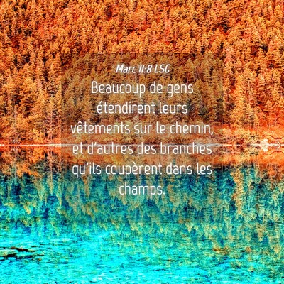 Picture 04 - Marc 11:8 LSG - Beaucoup de gens étendirent leurs vêtements sur - Bible Verse Picture