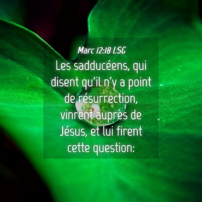 Picture 04 - Marc 12:18 LSG - Les sadducéens, qui disent qu'il n'y a point de - Bible Verse Picture