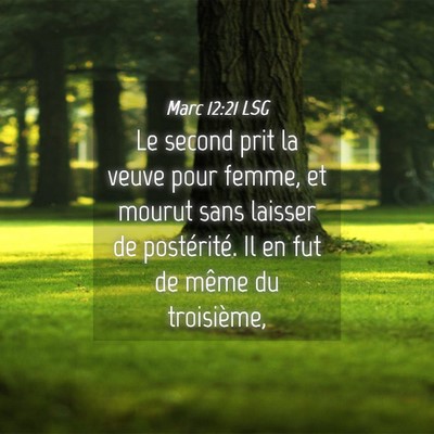 Picture 04 - Marc 12:21 LSG - Le second prit la veuve pour femme, et mourut - Bible Verse Picture