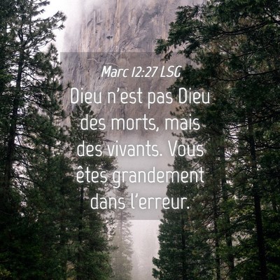 Picture 04 - Marc 12:27 LSG - Dieu n'est pas Dieu des morts, mais des vivants. - Bible Verse Picture