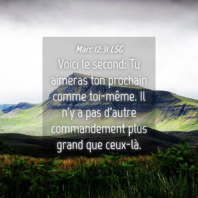 Picture 04 - Marc 12:31 LSG - Voici le second: Tu aimeras ton prochain comme - Bible Verse Picture