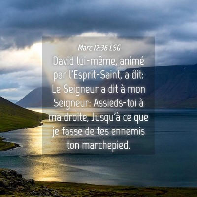 Picture 04 - Marc 12:36 LSG - David lui-même, animé par l'Esprit-Saint, a - Bible Verse Picture