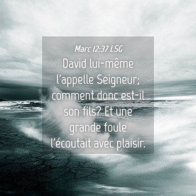 Picture 04 - Marc 12:37 LSG - David lui-même l'appelle Seigneur; comment donc - Bible Verse Picture