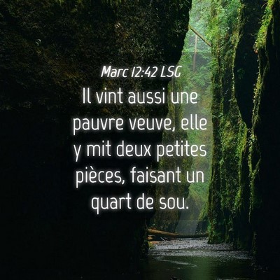Picture 04 - Marc 12:42 LSG - Il vint aussi une pauvre veuve, elle y mit deux - Bible Verse Picture
