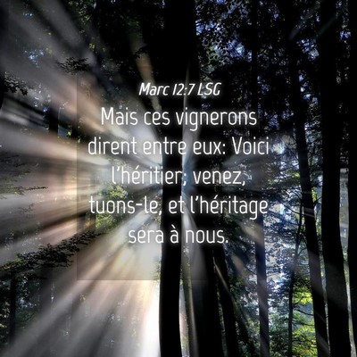 Picture 04 - Marc 12:7 LSG - Mais ces vignerons dirent entre eux: Voici - Bible Verse Picture