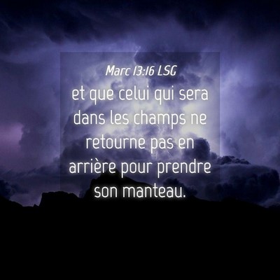 Picture 04 - Marc 13:16 LSG - et que celui qui sera dans les champs ne retourne - Bible Verse Picture