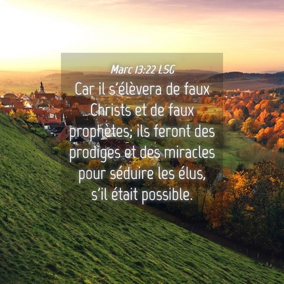 Picture 04 - Marc 13:22 LSG - Car il s'élèvera de faux Christs et de faux - Bible Verse Picture