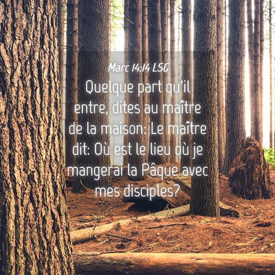 Picture 04 - Marc 14:14 LSG - Quelque part qu'il entre, dites au maître de la - Bible Verse Picture