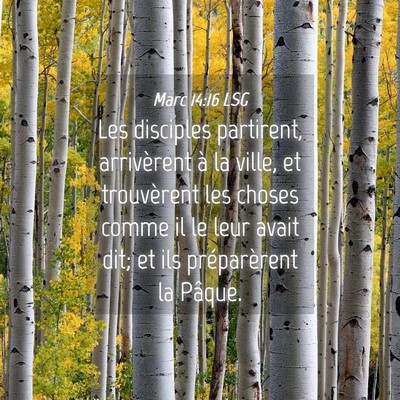 Picture 04 - Marc 14:16 LSG - Les disciples partirent, arrivèrent à la ville, - Bible Verse Picture