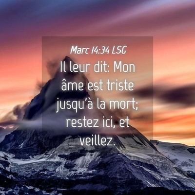 Picture 04 - Marc 14:34 LSG - Il leur dit: Mon âme est triste jusqu'à la - Bible Verse Picture