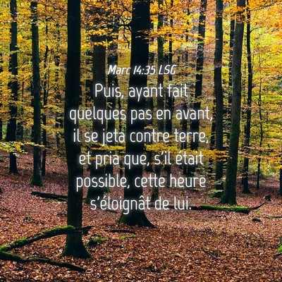 Picture 04 - Marc 14:35 LSG - Puis, ayant fait quelques pas en avant, il se - Bible Verse Picture